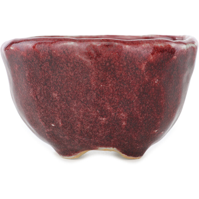 Vaso bonsai rotondo rosso di Koyou - 100 x 100 x 60 mm