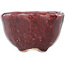 Round red bonsai pot by Koyou - 100 x 100 x 60 mm