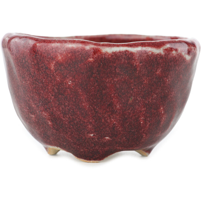 Vaso bonsai rotondo rosso di Koyou - 100 x 100 x 60 mm