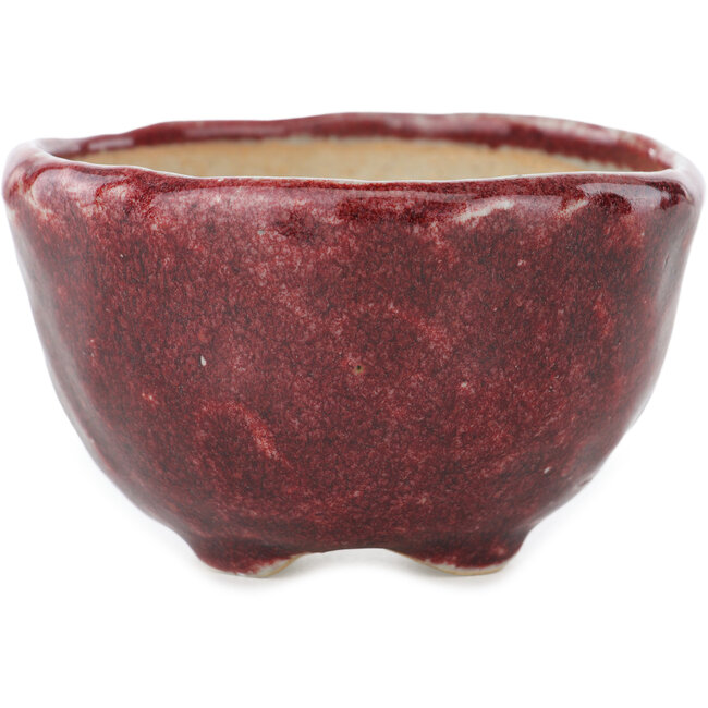 Maceta redonda roja para bonsái de Koyou - 100 x 100 x 60 mm