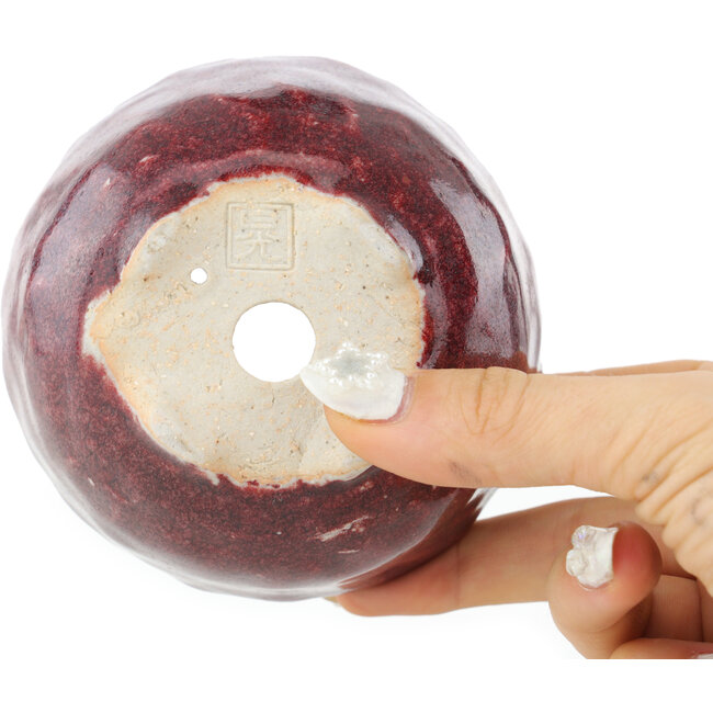 Ronde rode bonsai pot van Koyou - 100 x 100 x 60 mm