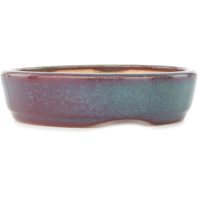 Maceta redonda para bonsái en color verde azulado y rojo de Koyou - 150 x 150 x 40 mm