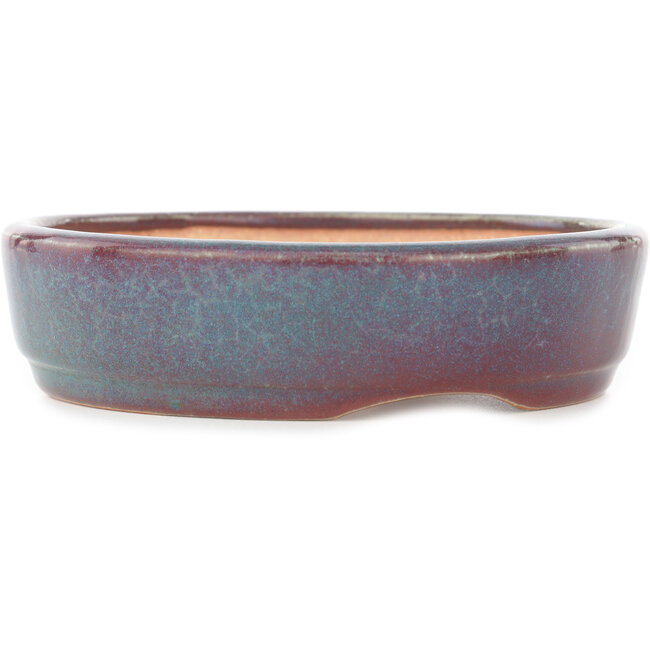 Maceta redonda para bonsái en color verde azulado y rojo de Koyou - 150 x 150 x 40 mm