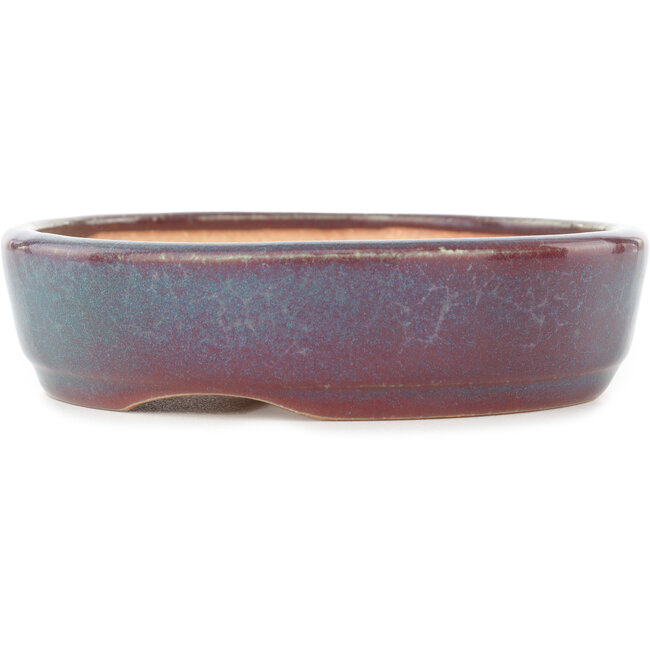 Maceta redonda para bonsái de color verde azulado y rojo de Koyou - 150 x 150 x 40 mm