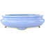 Oval light blue bonsai pot by Koyou - 210 x 180 x 58 mm