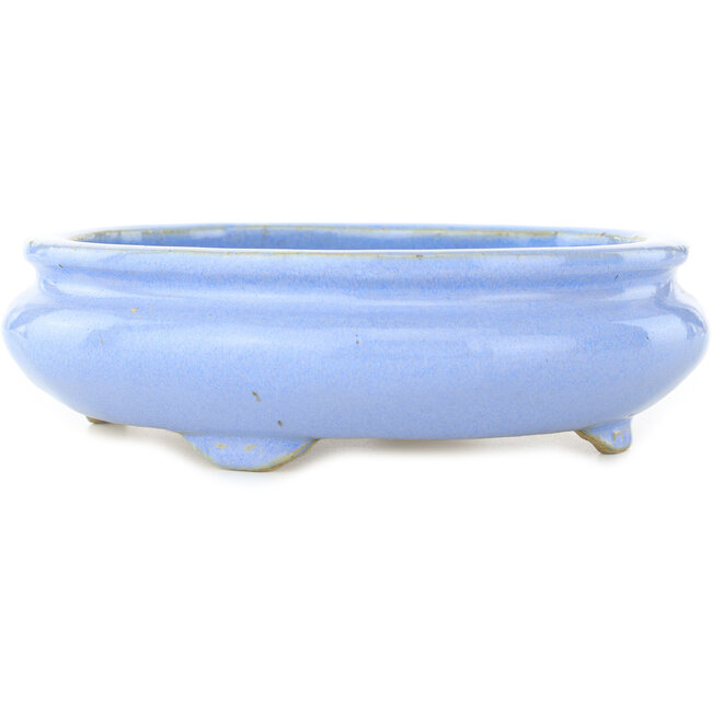 Ovale lichtblauwe bonsaipot van Koyou - 210 x 180 x 58 mm