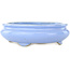 Maceta ovalada para bonsái de color azul claro de Koyou - 210 x 180 x 58 mm