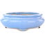 Maceta ovalada para bonsái de color azul claro de Koyou - 210 x 180 x 58 mm