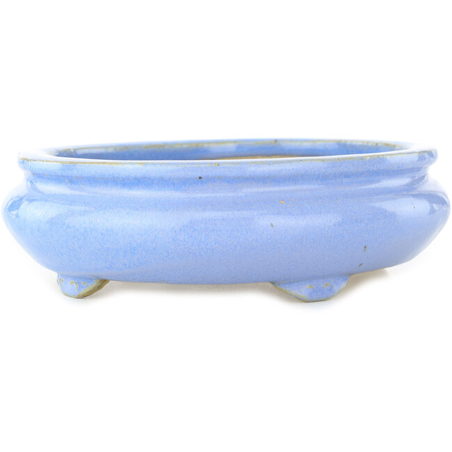 Ovale lichtblauwe bonsaipot van Koyou - 210 x 180 x 58 mm