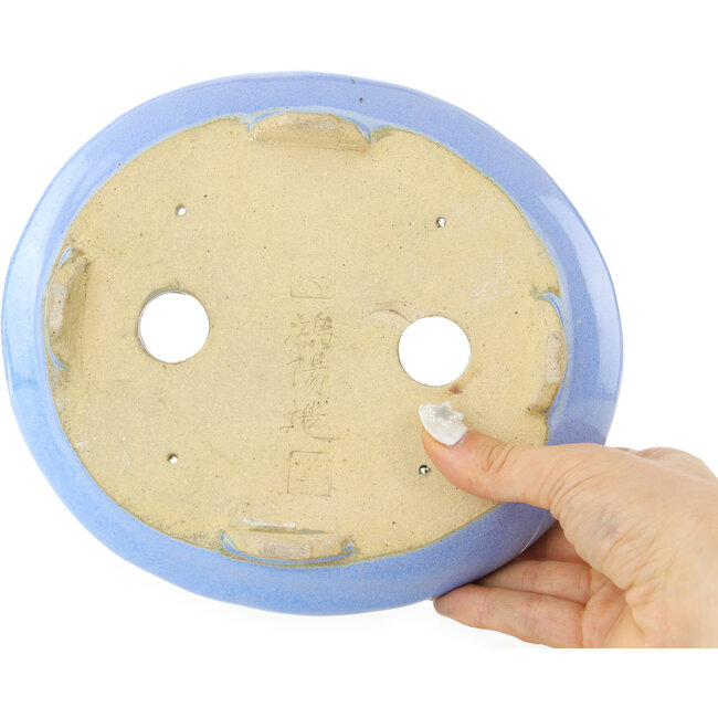 Vaso bonsai ovale azzurro chiaro di Koyou - 210 x 180 x 58 mm