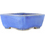 Vaso bonsai quadrato blu di Koyou - 105 x 105 x 45 mm