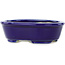 Ovale donkerblauwe bonsaipot van Koyou - 97 x 78 x 30 mm