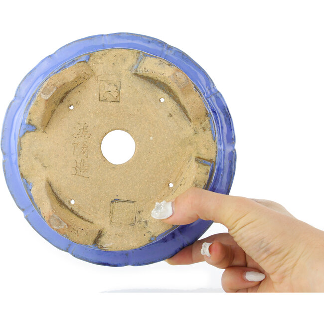 Maceta redonda azul para bonsái de Koyou - 175 x 175 x 95 mm