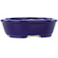Ovale donkerblauwe bonsaipot van Koyou - 97 x 78 x 30 mm