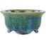 Vaso bonsai rotondo verde di Koyou - 135 x 135 x 63 mm