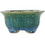 Pot à bonsaï rond vert de Koyou - 135 x 135 x 63 mm