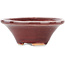 Vaso bonsai rotondo rosso di Juetsu - 95 x 95 x 38 mm