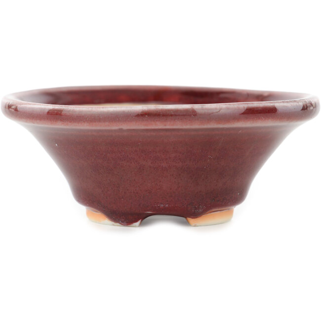 Ronde rode bonsai pot van Juetsu - 95 x 95 x 38 mm