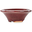Vaso bonsai rotondo rosso di Juetsu - 95 x 95 x 38 mm
