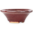 Vaso bonsai rotondo rosso di Juetsu - 95 x 95 x 38 mm