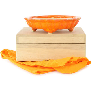Sharaku (ã—ã‚ƒã‚‰ã / å†™æ¥½ï¼‰ Maceta para bonsái de color naranja loto de 140 mm de Sharaku, Yashio, Saitama, Japón