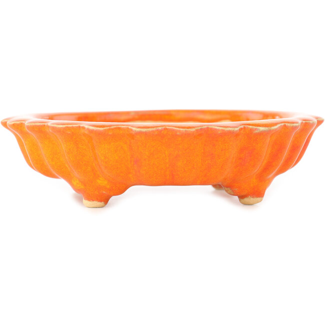 Lotus orange Bonsaischale von Sharaku - 140 x 140 x 35 mm