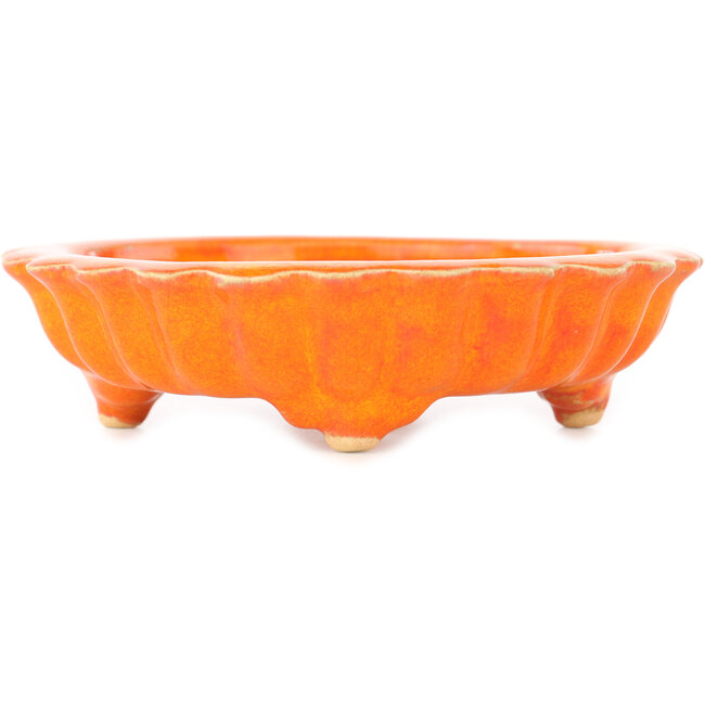 Maceta para bonsái con forma de loto naranja de Sharaku - 140 x 140 x 35 mm