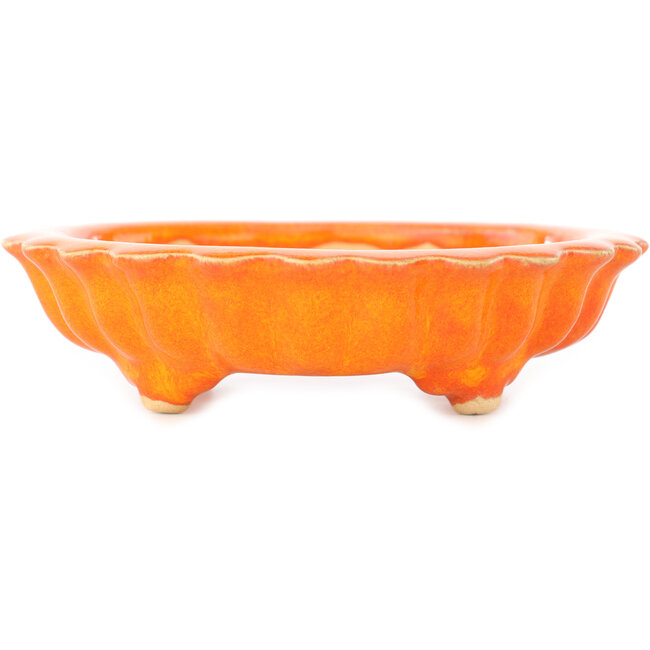 Lotus oranje bonsai pot van Sharaku - 140 x 140 x 35 mm