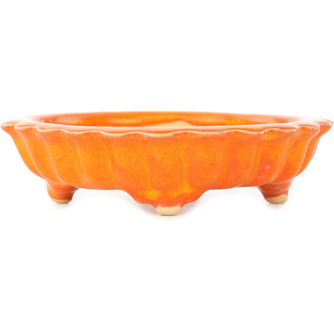 Vaso bonsai Lotus arancione di Sharaku - 140 x 140 x 35 mm