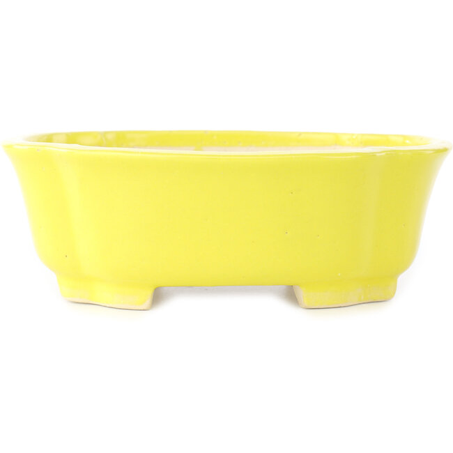 Pot à bonsaï Mokko jaune de Shibakatsu - 193 x 165 x 65 mm