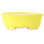 Pot à bonsaï Mokko jaune de Shibakatsu - 193 x 165 x 65 mm