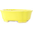 Pot à bonsaï Mokko jaune de Shibakatsu - 193 x 165 x 65 mm