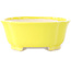 Pot à bonsaï Mokko jaune de Shibakatsu - 193 x 165 x 65 mm