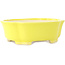 Pot à bonsaï Mokko jaune de Shibakatsu - 193 x 165 x 65 mm