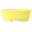 Pot à bonsaï Mokko jaune de Shibakatsu - 193 x 165 x 65 mm