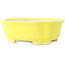 Pot à bonsaï Mokko jaune de Shibakatsu - 193 x 165 x 65 mm