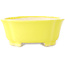 Pot à bonsaï Mokko jaune de Shibakatsu - 193 x 165 x 65 mm