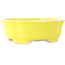 Pot à bonsaï Mokko jaune de Shibakatsu - 193 x 165 x 65 mm