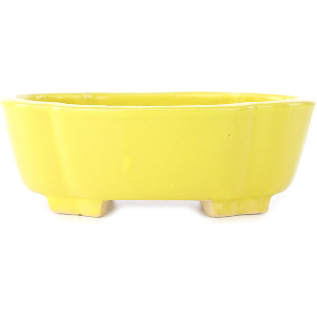 Pot à bonsaï Mokko jaune de Shibakatsu - 160 x 135 x 56 mm