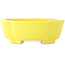 Pot à bonsaï Mokko jaune de Shibakatsu - 160 x 135 x 56 mm