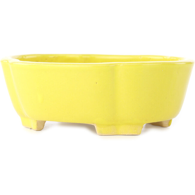 Mokko yellow bonsai pot by Shibakatsu - 160 x 135 x 56 mm