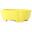 Pot à bonsaï Mokko jaune de Shibakatsu - 160 x 135 x 56 mm