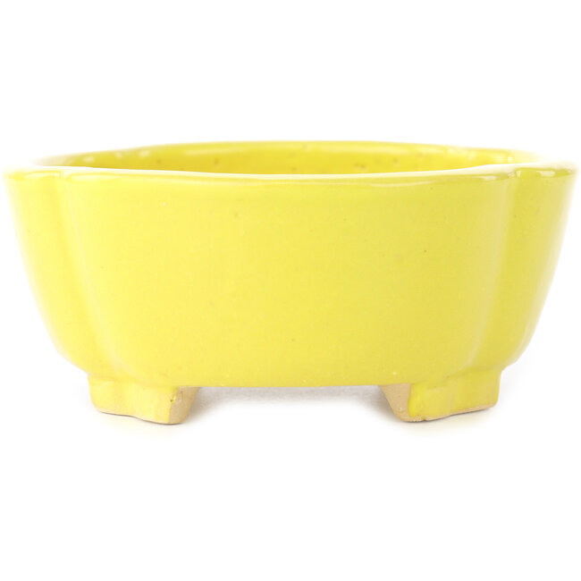 Mokko yellow bonsai pot by Shibakatsu - 160 x 135 x 56 mm