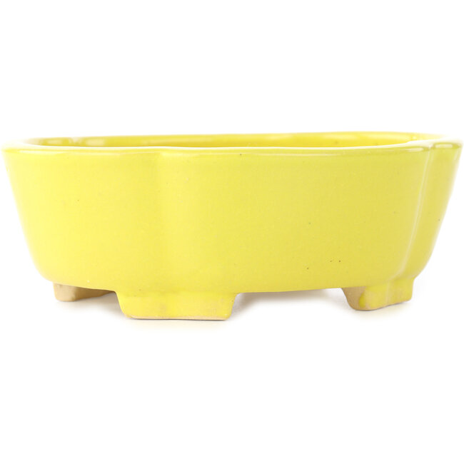 Vaso bonsai giallo Mokko di Shibakatsu - 160 x 135 x 56 mm