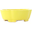 Pot à bonsaï Mokko jaune de Shibakatsu - 160 x 135 x 56 mm