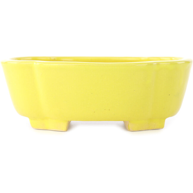 Mokko yellow bonsai pot by Shibakatsu - 160 x 135 x 56 mm