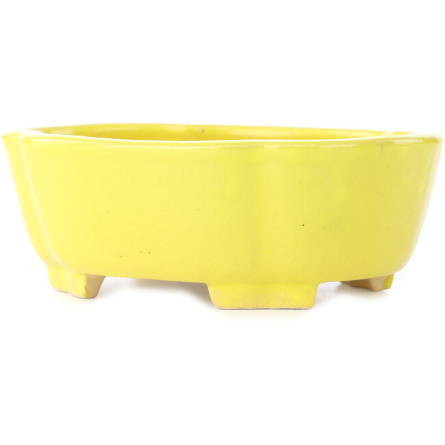 Vaso bonsai giallo Mokko di Shibakatsu - 160 x 135 x 56 mm