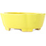 Pot à bonsaï Mokko jaune de Shibakatsu - 160 x 135 x 56 mm