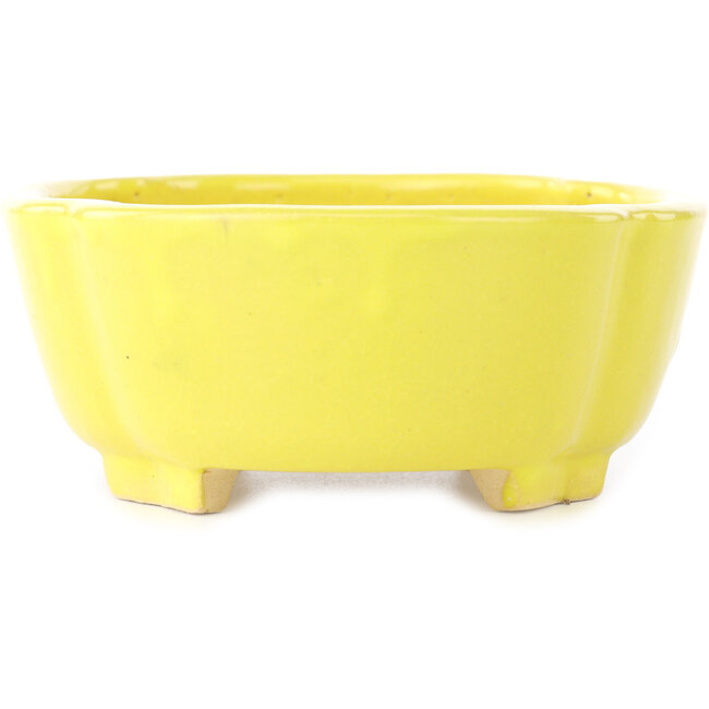 Pot à bonsaï Mokko jaune de Shibakatsu - 160 x 135 x 56 mm