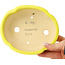 Pot à bonsaï Mokko jaune de Shibakatsu - 160 x 135 x 56 mm